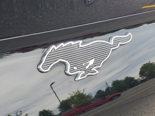 Used 2021 Ford Mustang Mach-E Select w/ Comfort/Appearance Package AWD/4WD image 7