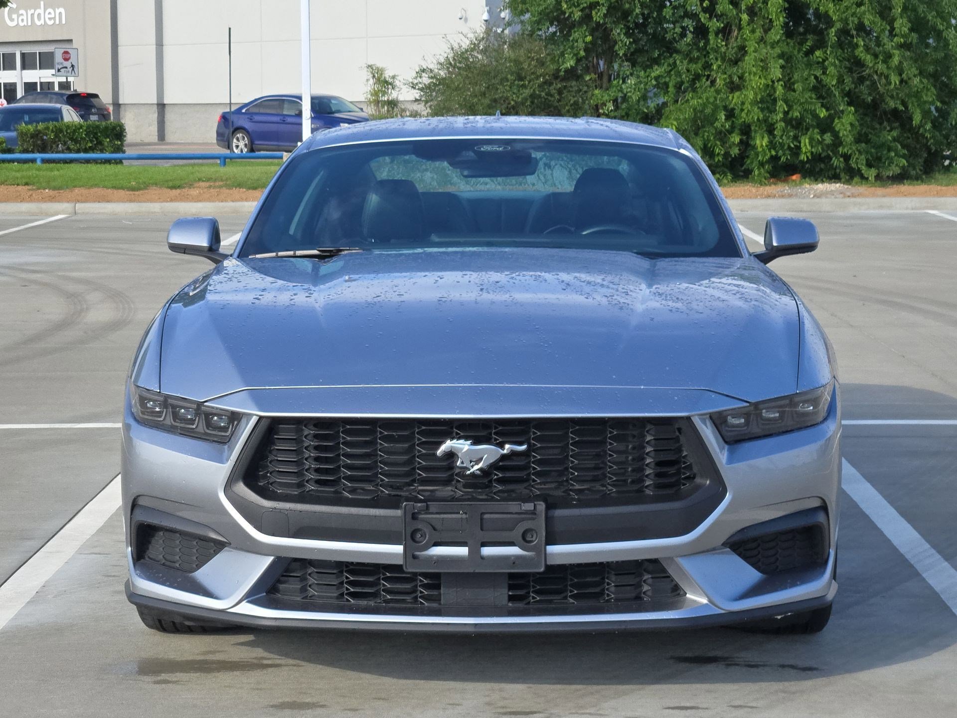 Used 2025 Ford Mustang Premium RWD image 10