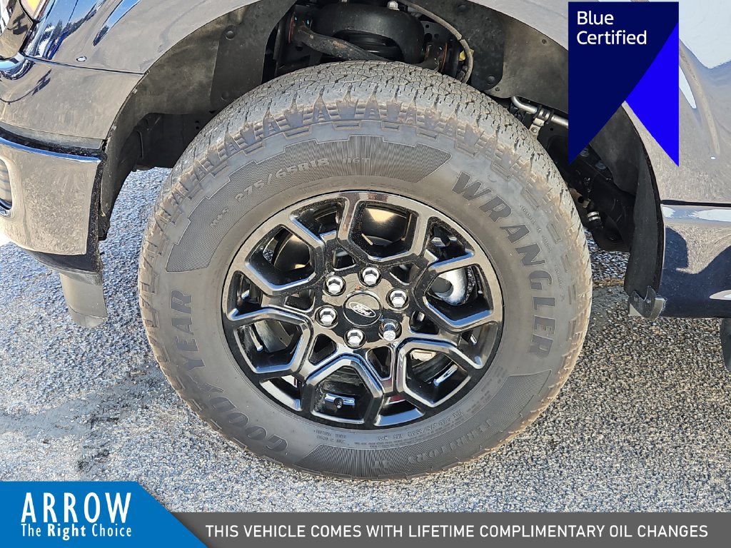 Certified 2024 Ford F150 XLT w/ Equipment Group 302A MID AWD/4WD image 17