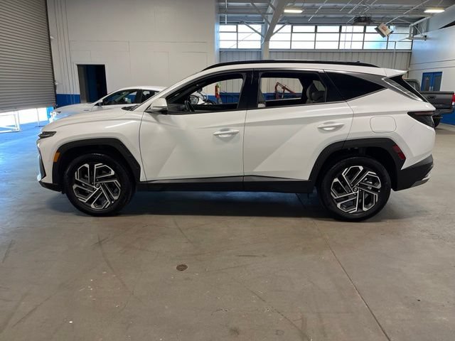 Used 2026 Hyundai Tucson Limited AWD/4WD image 6