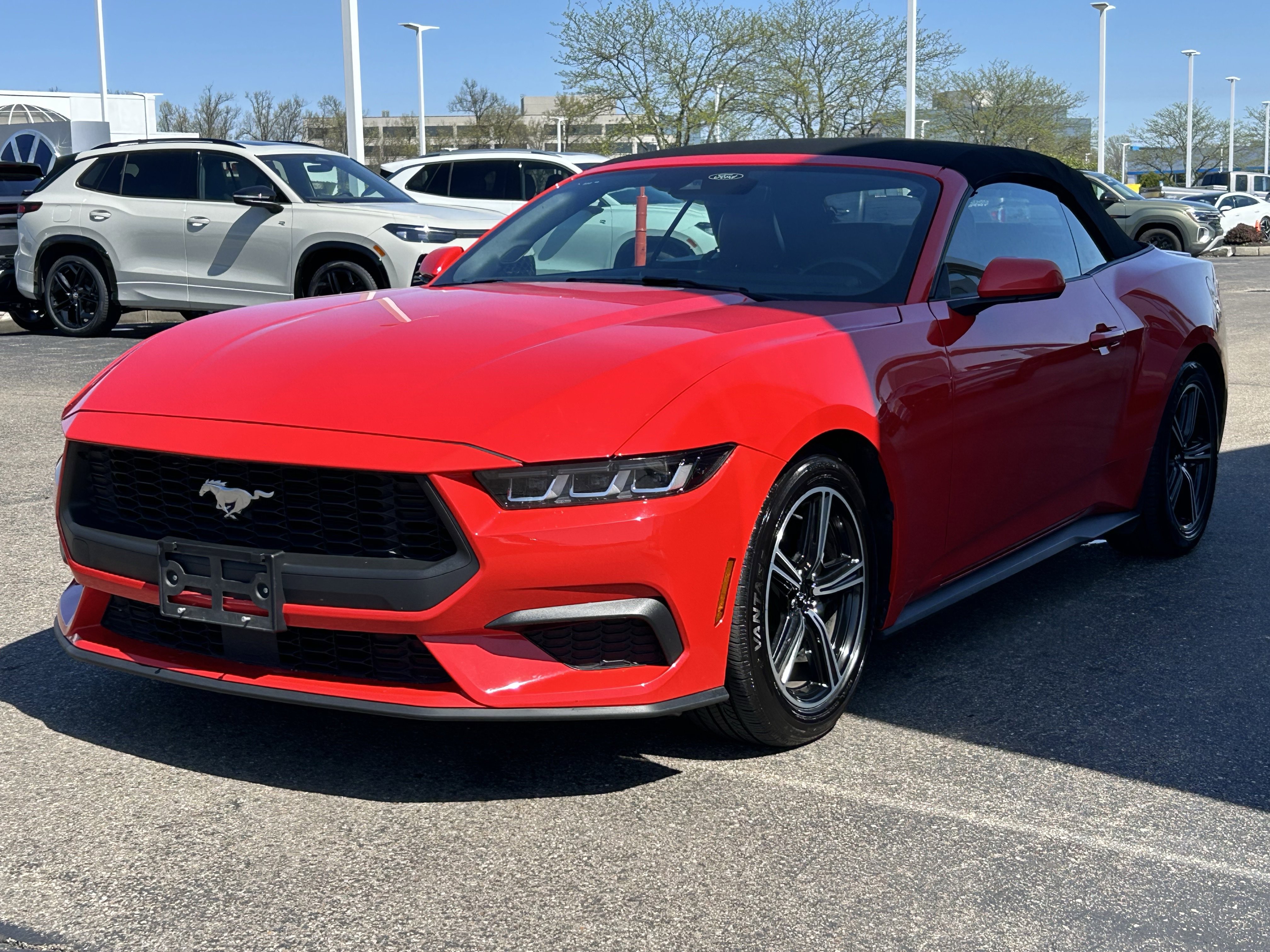 Used 2024 Ford Mustang Premium image 3