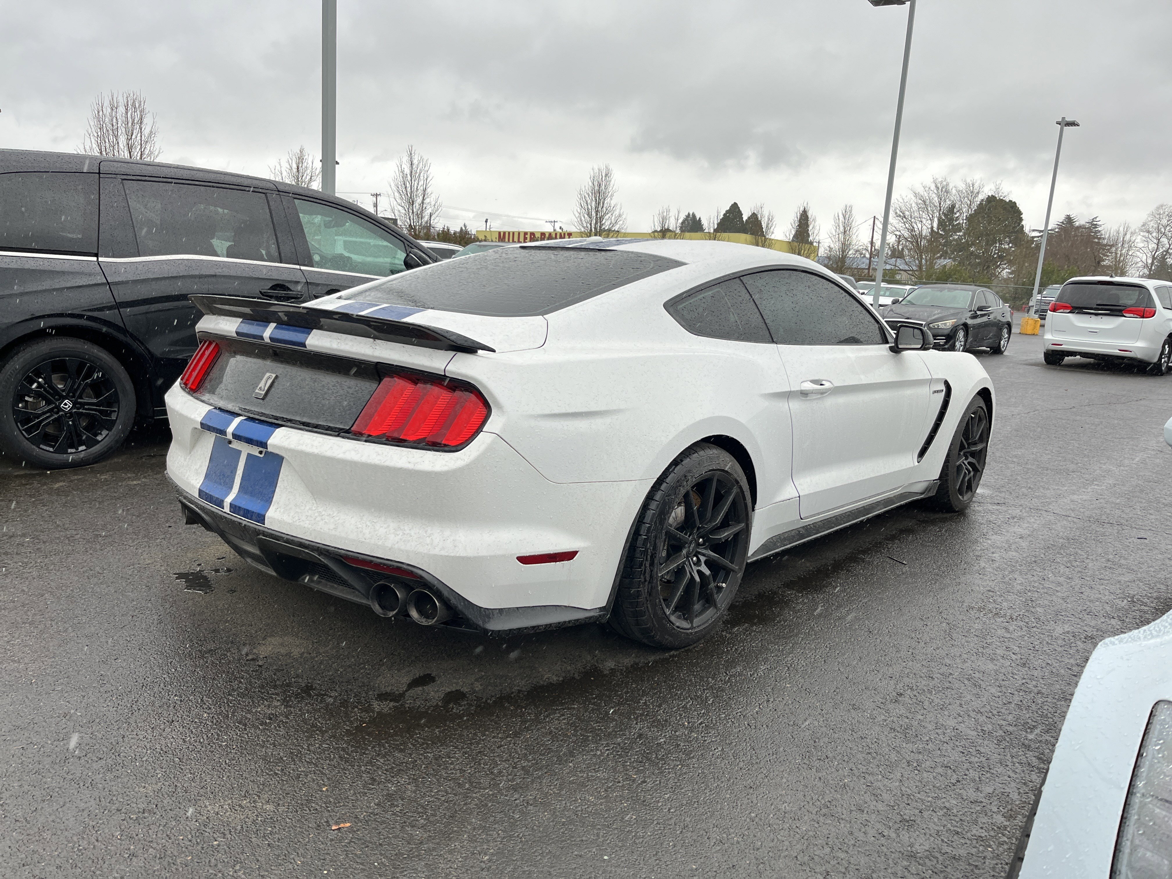 Used 2017 Ford Mustang Shelby GT350 w/ Electronics Package image 10