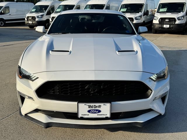 Used 2019 Ford Mustang Premium w/ Equipment Group 201A RWD image 2
