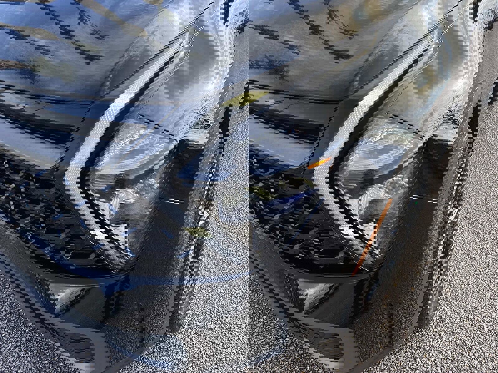 Used 2023 Kia Sportage X-Line w/ X-Line Premium Package image 9