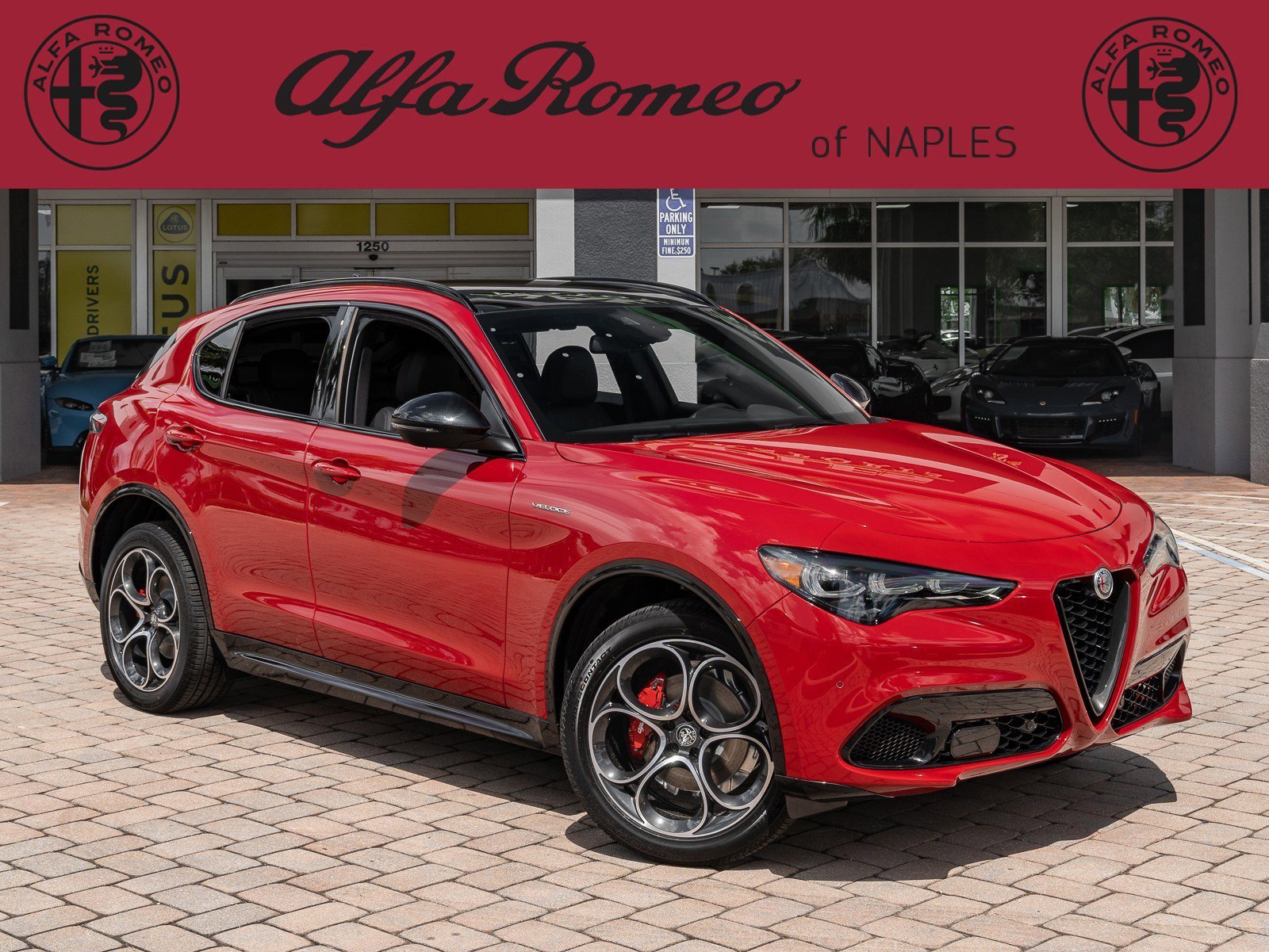 New 2024 Alfa Romeo Stelvio Veloce video 1