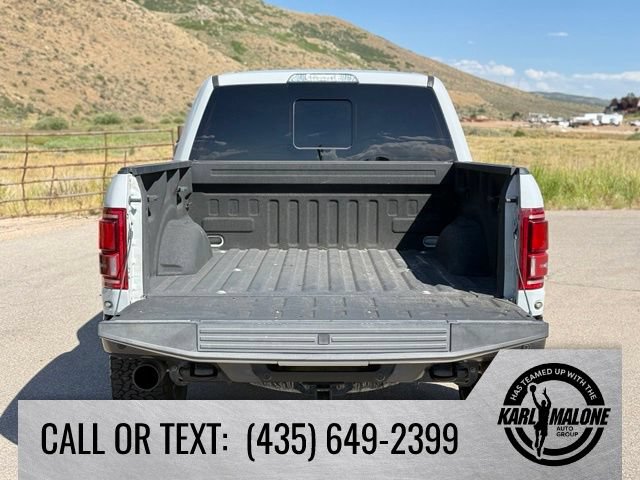 Used 2017 Ford F150 Raptor w/ Equipment Group 802A Luxury AWD/4WD image 5