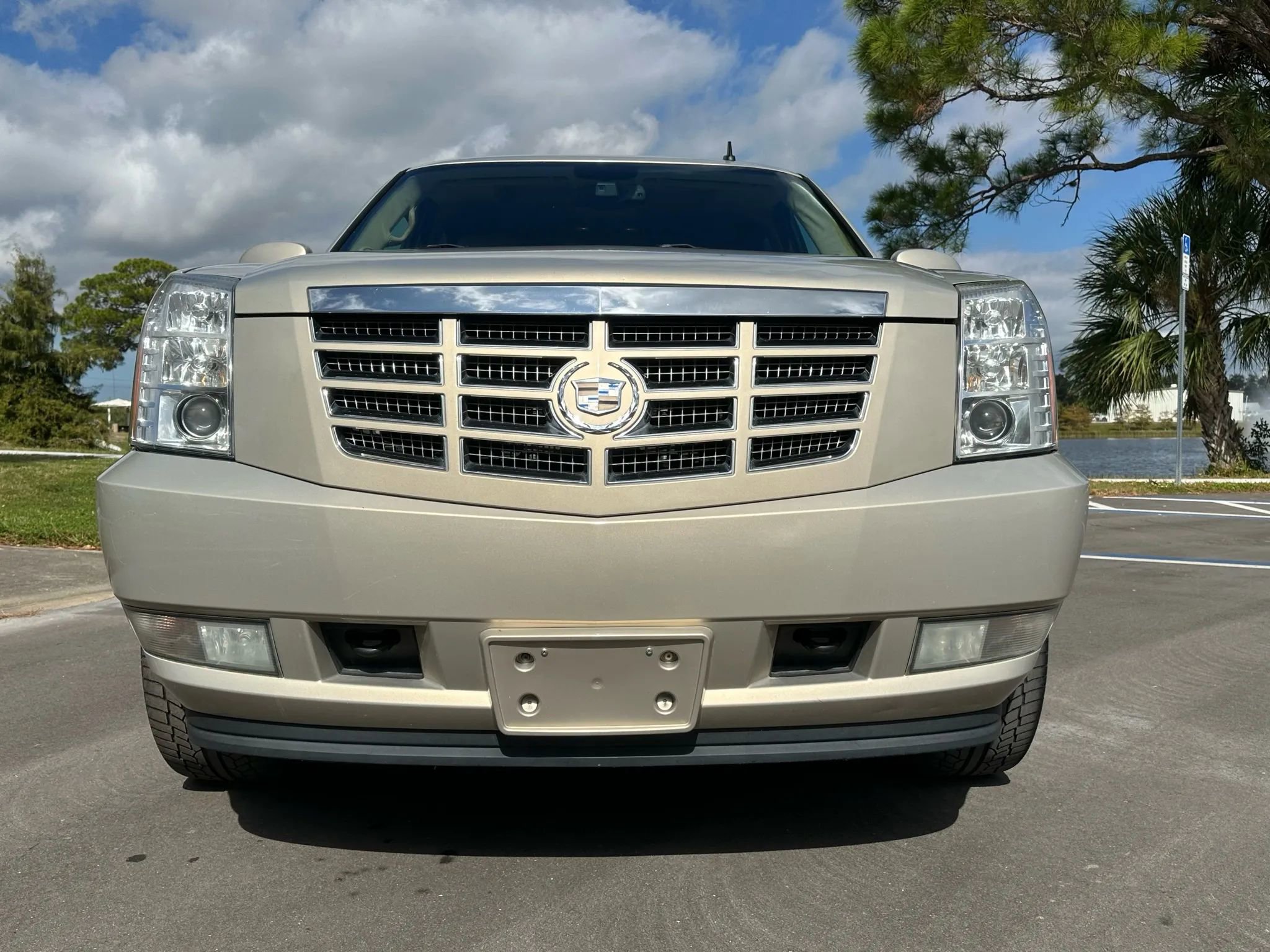 Used 2010 Cadillac Escalade Premium image 3
