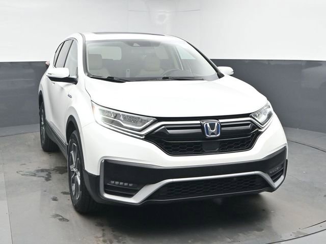 Used 2020 Honda CR-V EX-L image 2