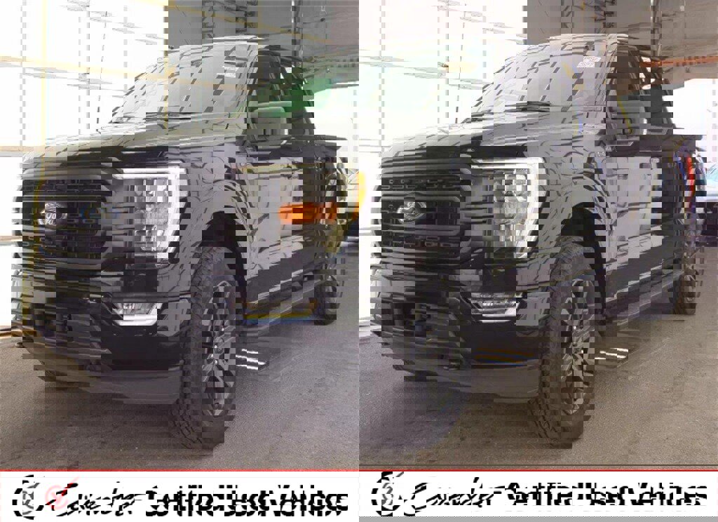 Used 2023 Ford F150 XLT w/ Equipment Group 302A High