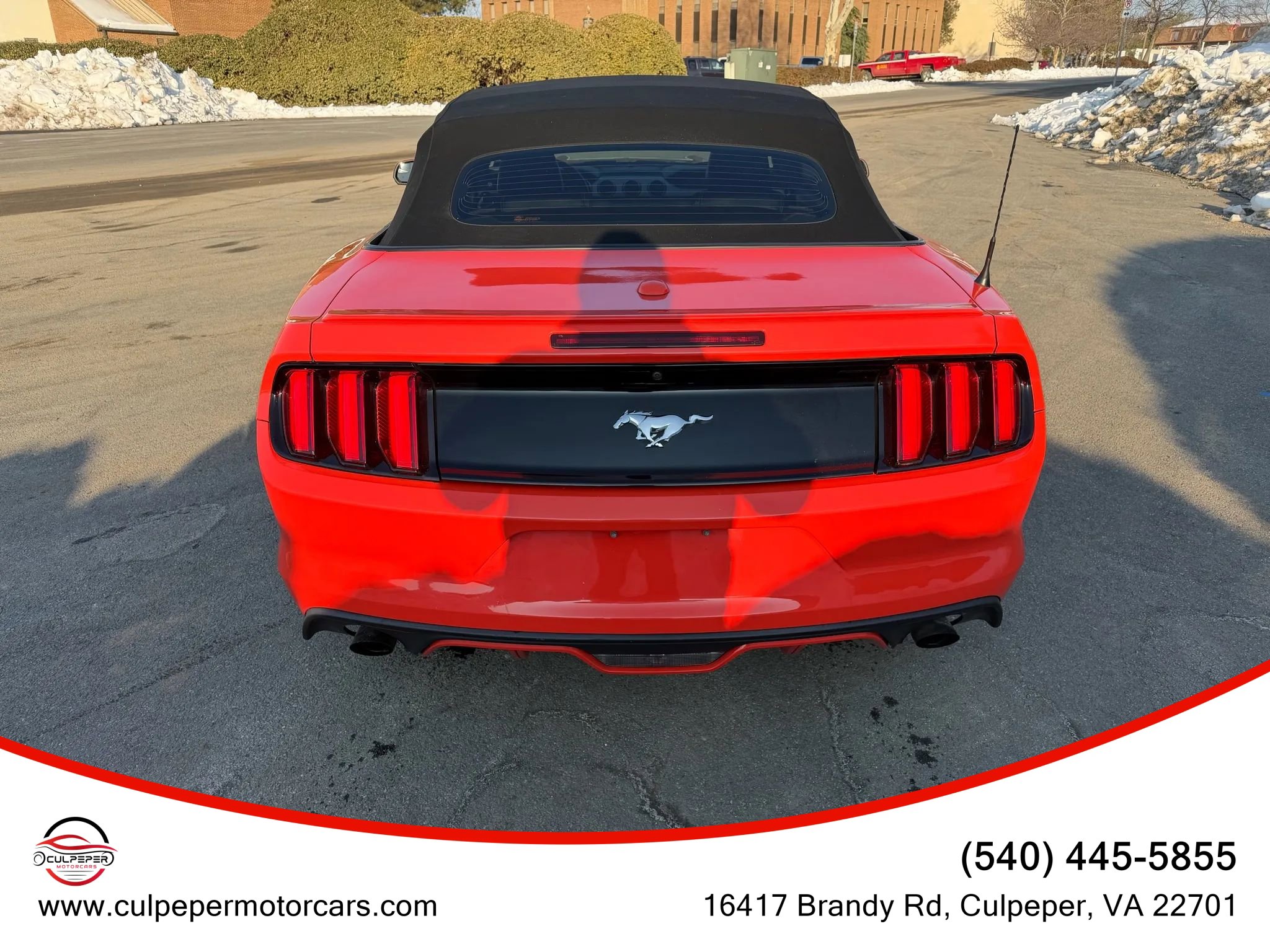 Used 2015 Ford Mustang Premium image 5
