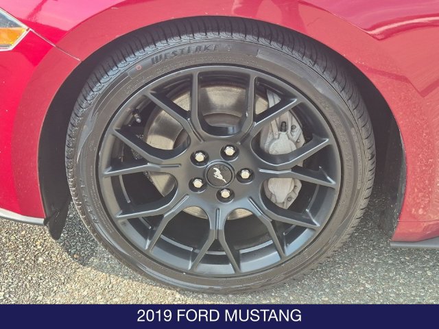Used 2019 Ford Mustang Premium w/ Ecoboost Performance Package RWD image 21
