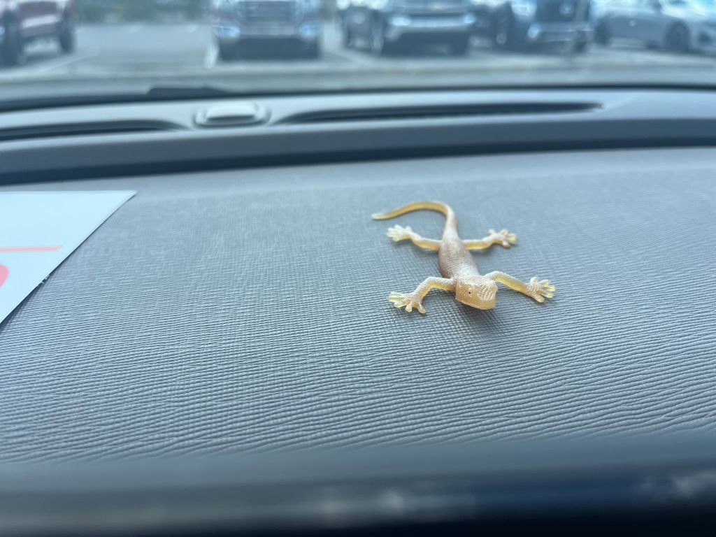 Used 2024 Buick Envista Avenir image 12