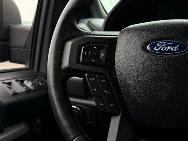 Used 2019 Ford F150 XLT w/ Equipment Group 302A Luxury image 10