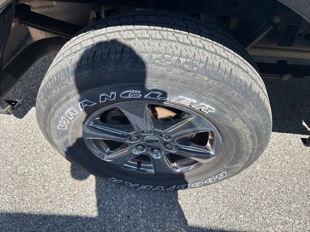 Used 2019 Ford F150 XLT w/ Equipment Group 302A Luxury AWD/4WD image 3