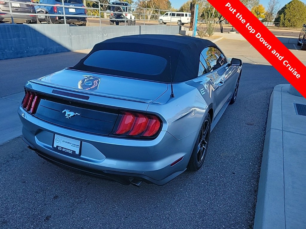 Used 2021 Ford Mustang Premium image 7