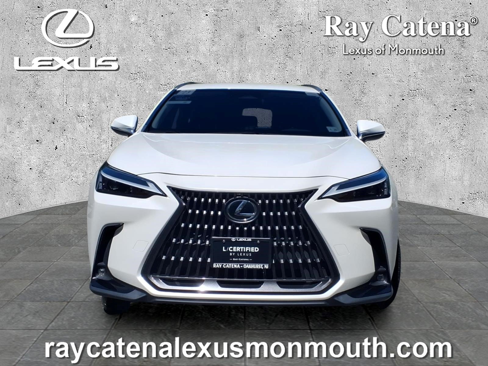 Certified 2023 Lexus NX 250 AWD w/ Cold Area Package image 2