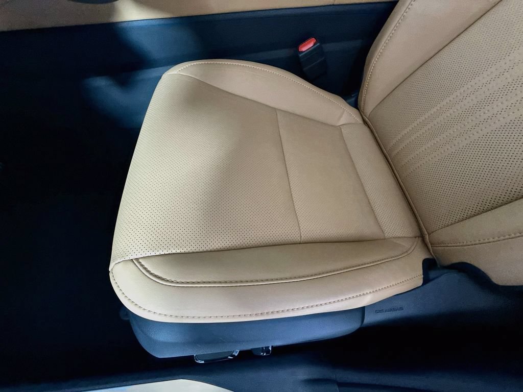 New 2026 Lexus NX 350 AWD w/ Accessory Package (Z1) image 21