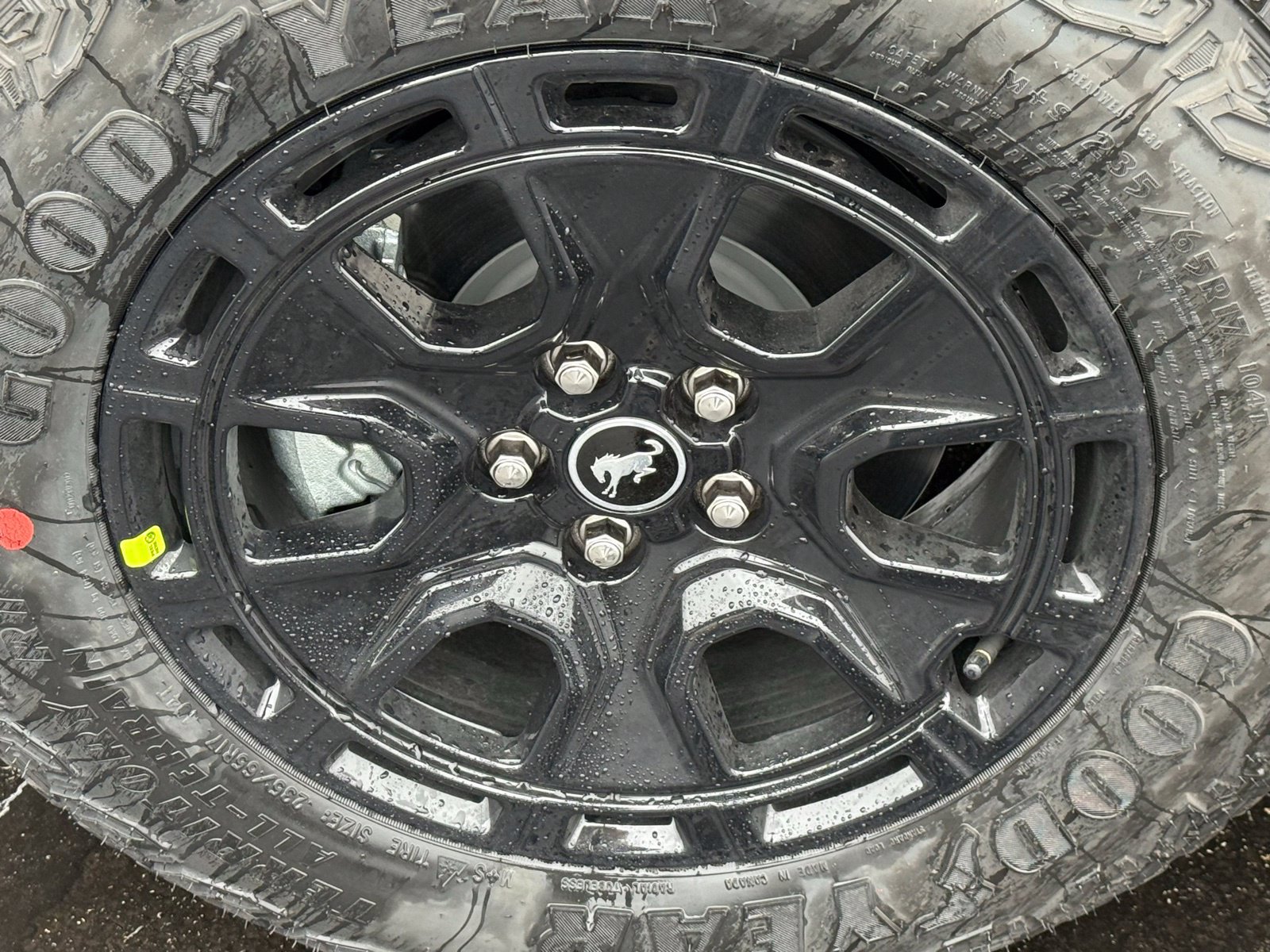 New 2025 Ford Bronco Sport Outer Banks w/ Sasquatch Outer Banks Package AWD/4WD image 12