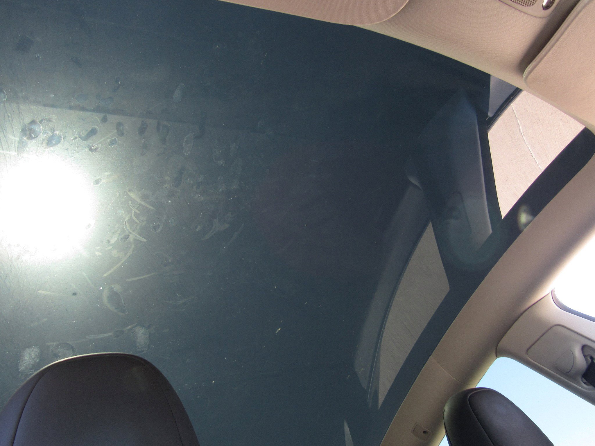 Used 2024 Tesla Model Y 2WD image 8