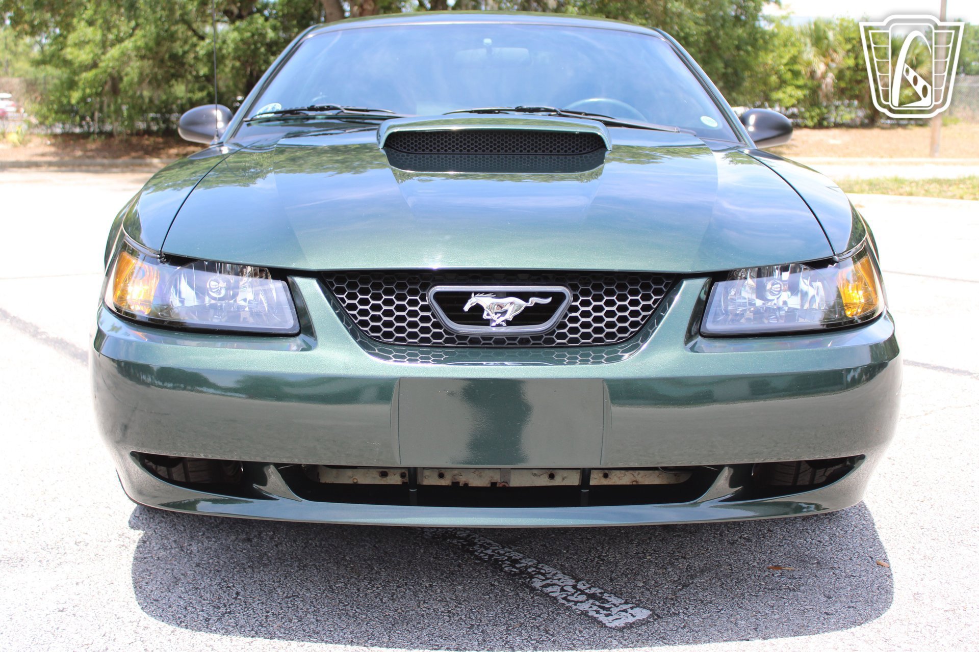 Used 2001 Ford Mustang Bullitt RWD image 15