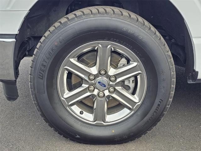 Certified 2025 Ford F150 XLT w/ Equipment Group 301A Standard image 8