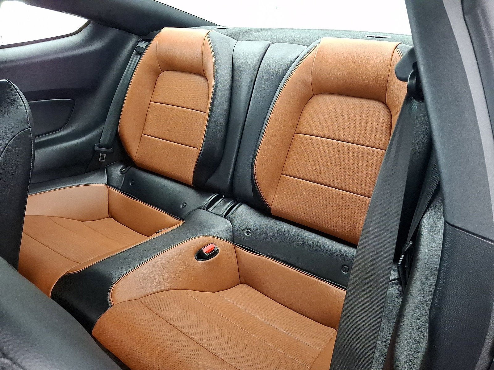 Used 2022 Ford Mustang Premium w/ Ford Safe & Smart Package RWD image 12