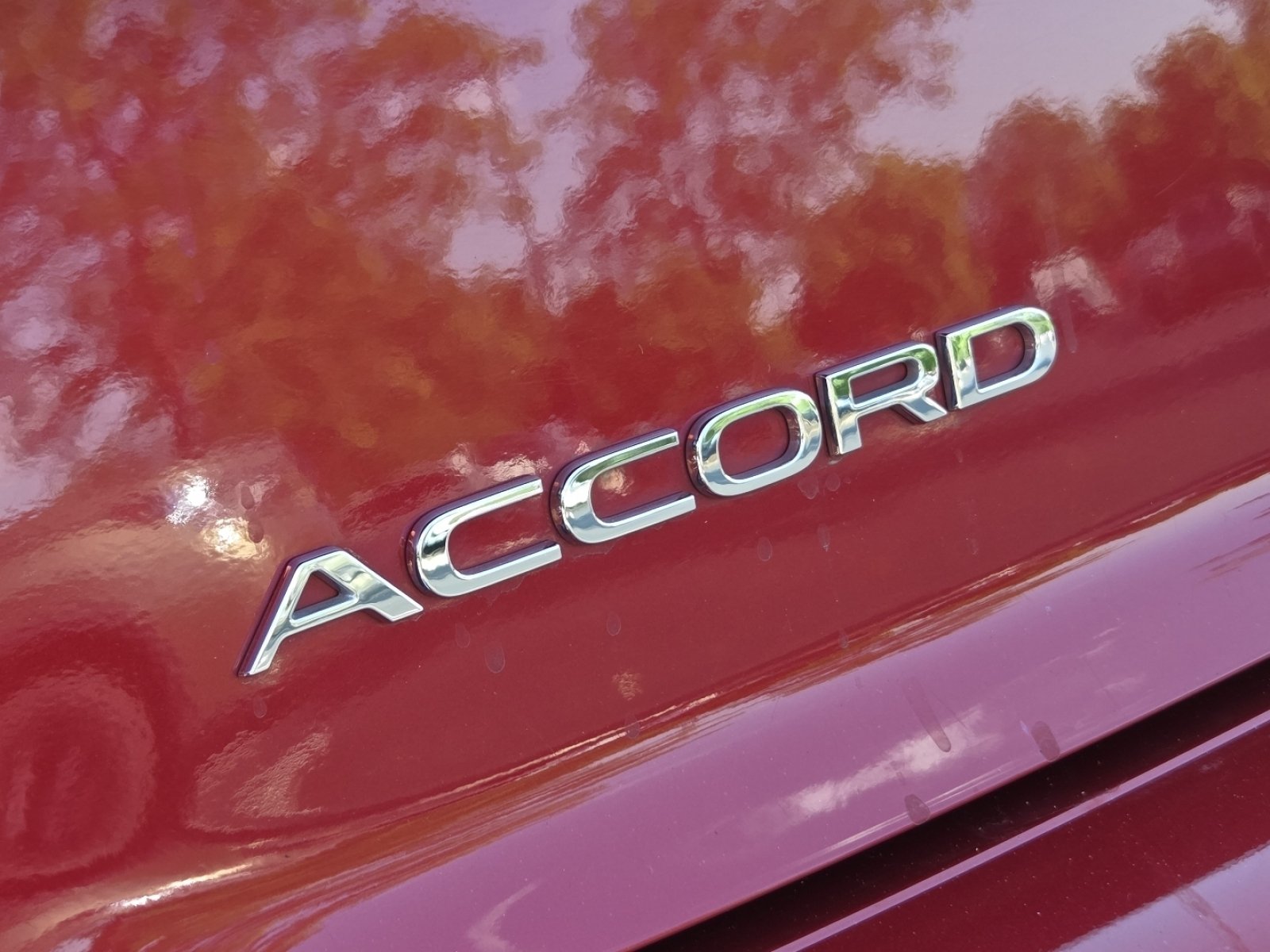 Used 2024 Honda Accord EX image 14