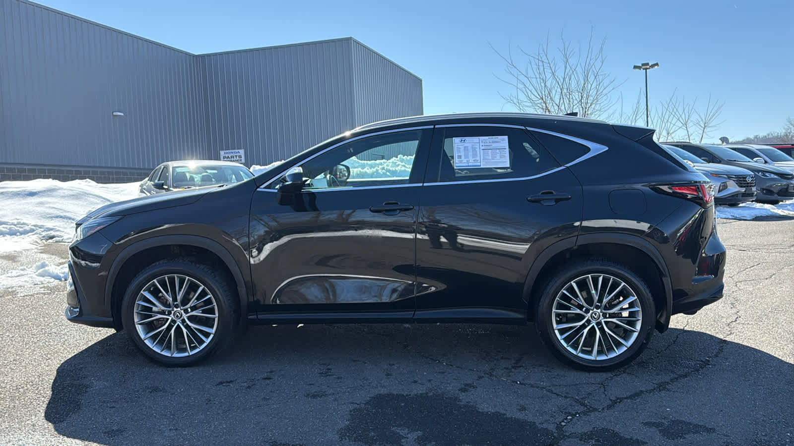 Used 2023 Lexus NX 350h AWD image 4