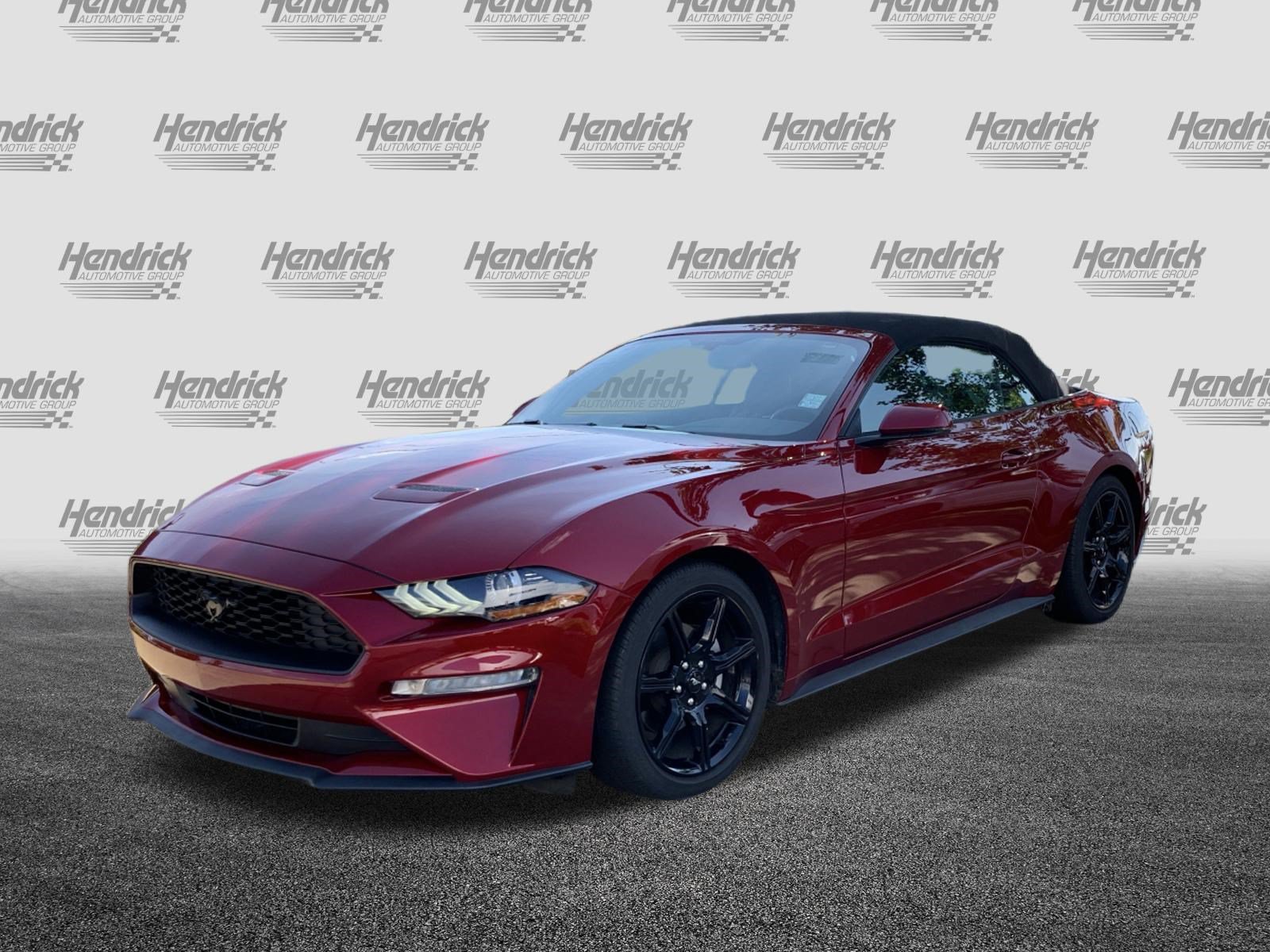 Used 2019 Ford Mustang Premium w/ Equipment Group 201A RWD image 5