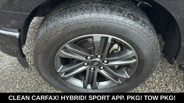 Used 2022 Ford F150 XLT w/ Equipment Group 302A High AWD/4WD image 32