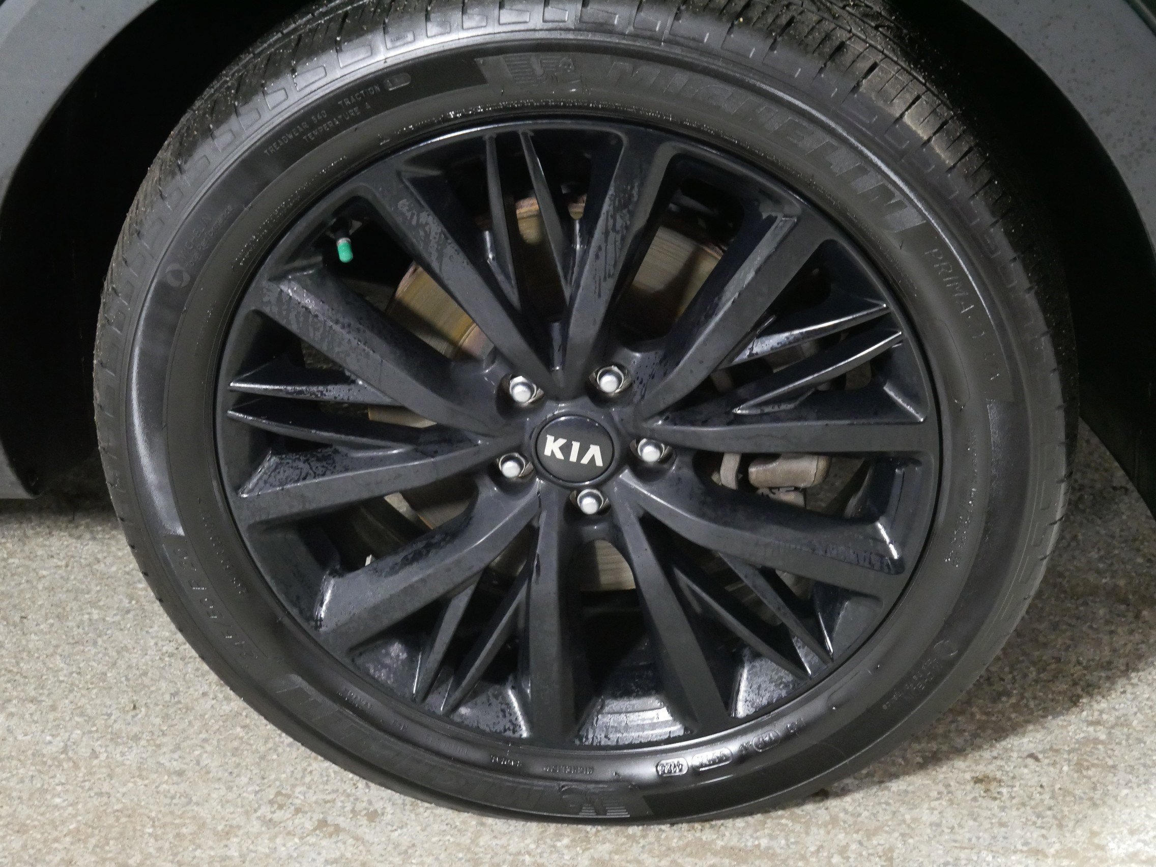 Used 2020 Kia Telluride SX w/ SX Prestige Package image 15