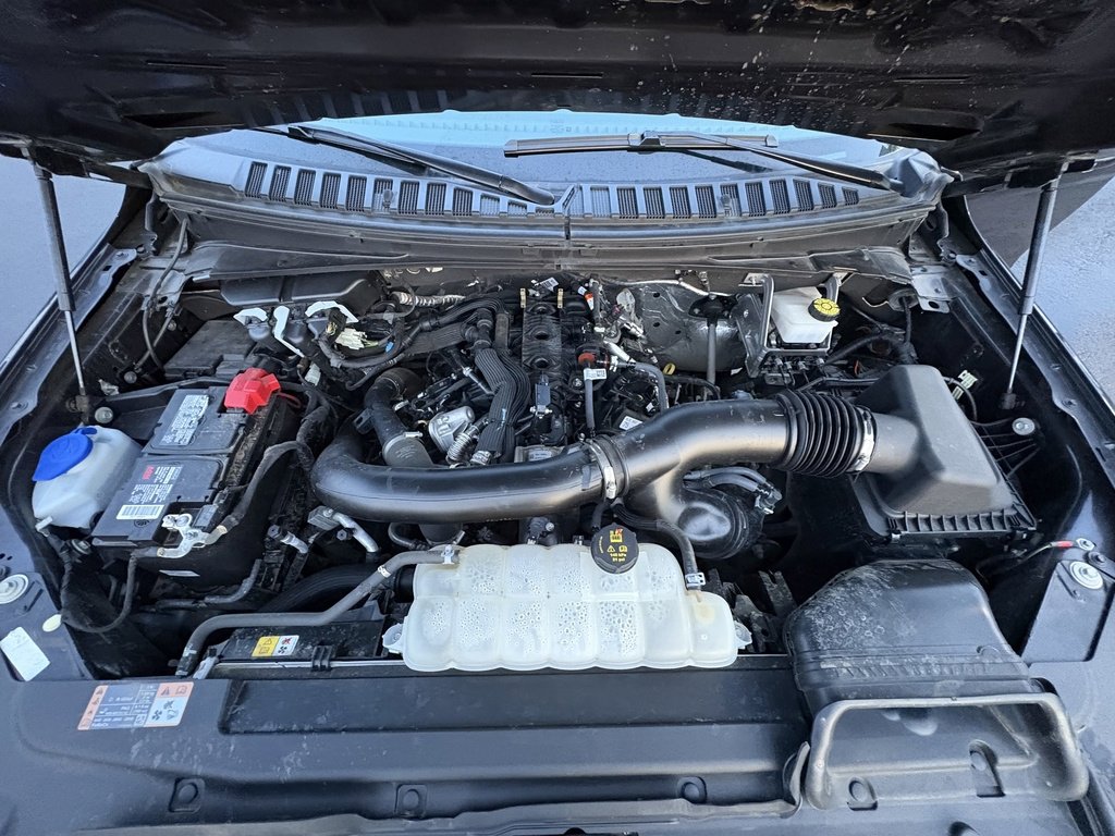 Certified 2024 Ford Expedition XLT image 41