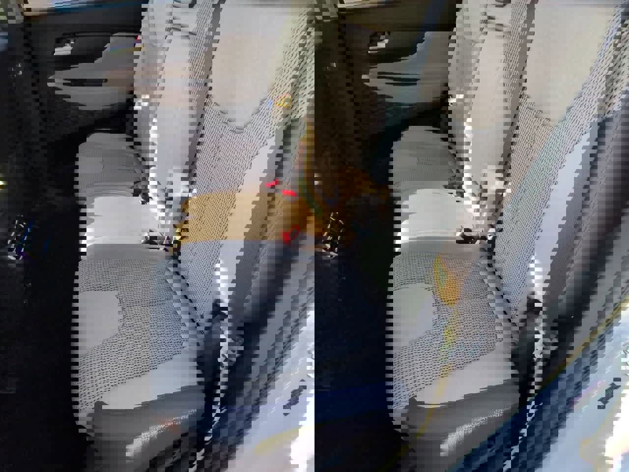 Used 2022 Hyundai Santa Fe SEL image 19