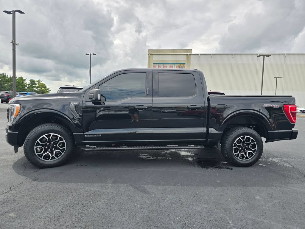 Used 2023 Ford F150 XLT w/ Equipment Group 302A High AWD/4WD image 5
