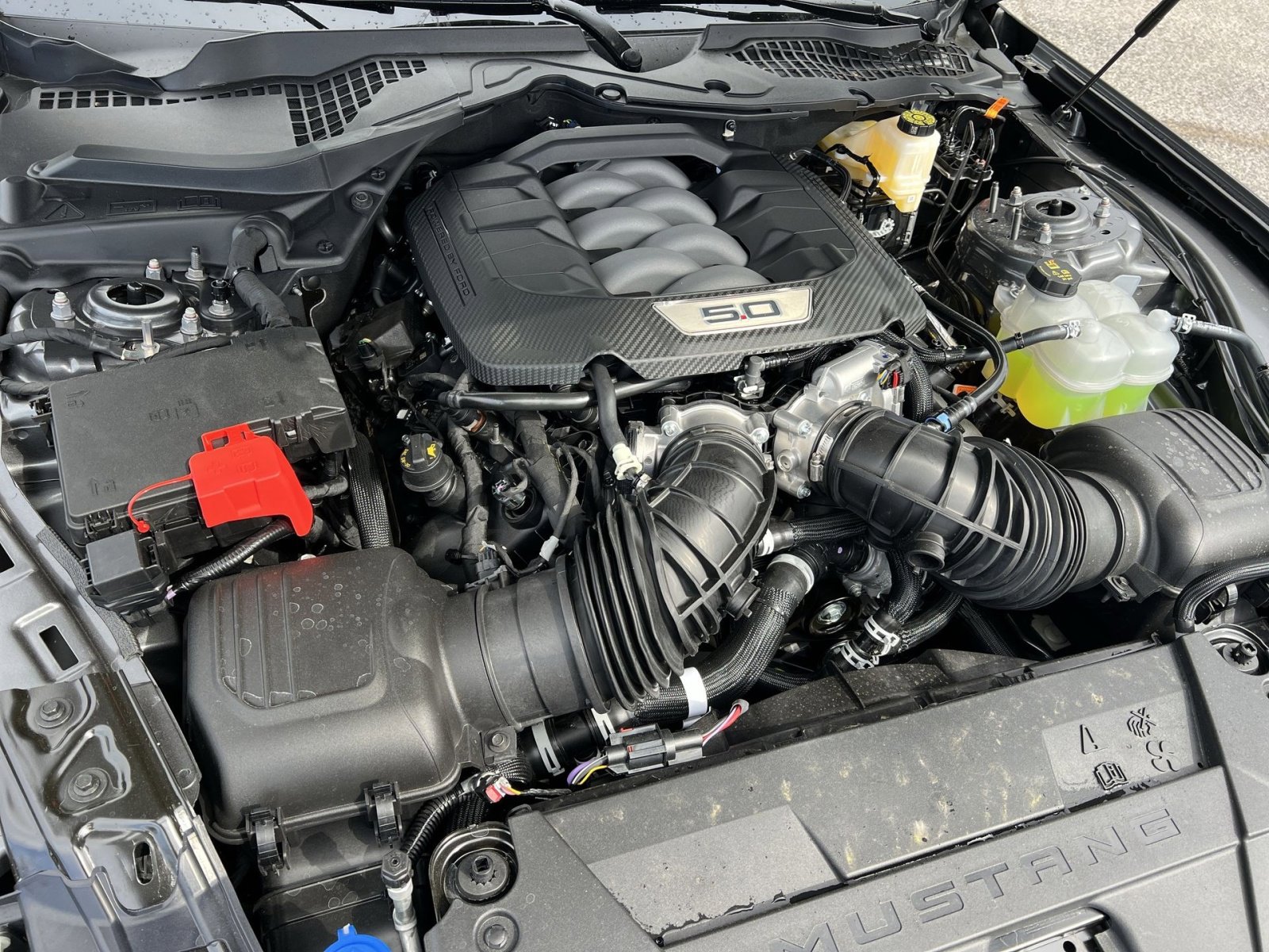 New 2026 Ford Mustang GT RWD image 25