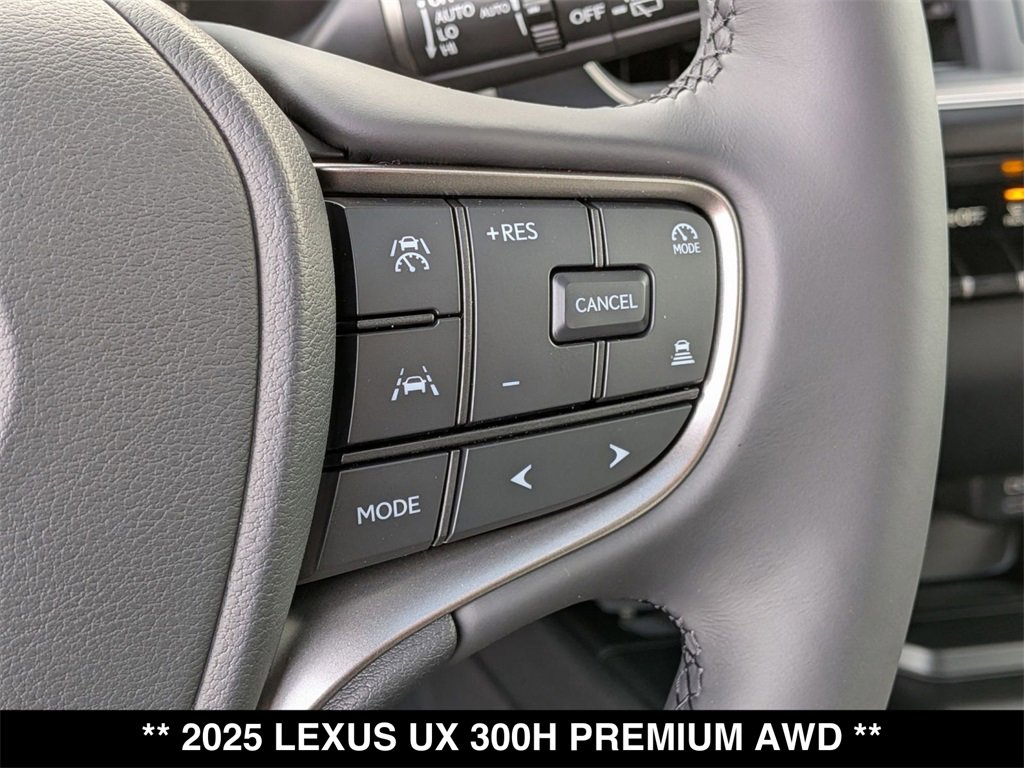 New 2025 Lexus UX 300h AWD w/ Cold Area Package image 19