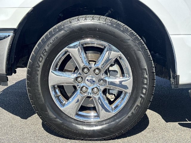 Used 2019 Ford F150 XLT w/ Equipment Group 302A Luxury RWD image 18