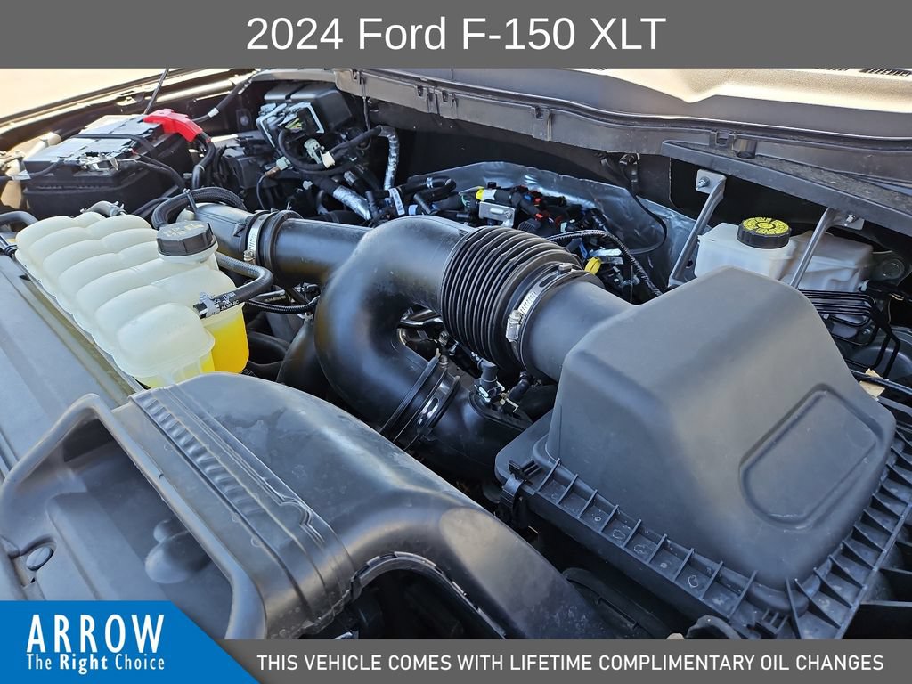 Used 2024 Ford F150 XLT w/ Equipment Group 302A MID RWD image 15