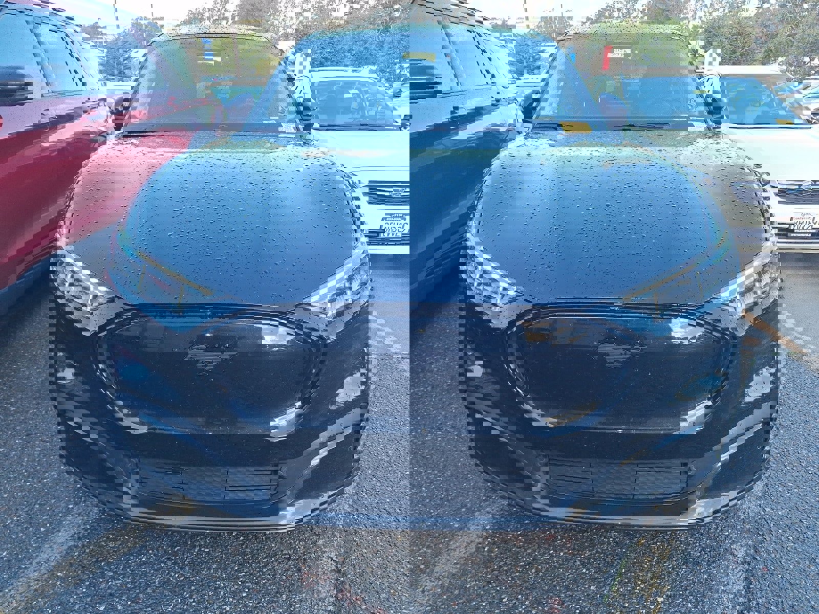 Used 2023 Ford Mustang Mach-E Premium w/ Mustang Nite Pony Package image 2