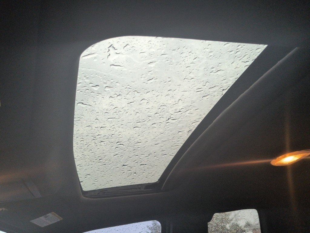 Used 2010 Ford F150 Raptor image 9