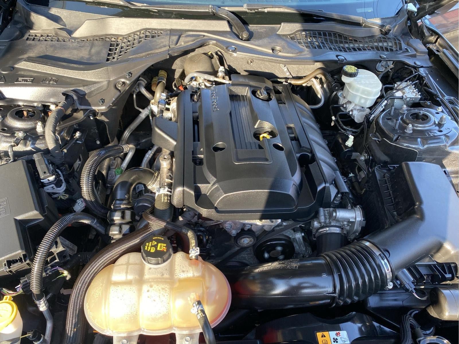 Used 2018 Ford Mustang Coupe w/ Wheel & Stripe Package RWD image 40