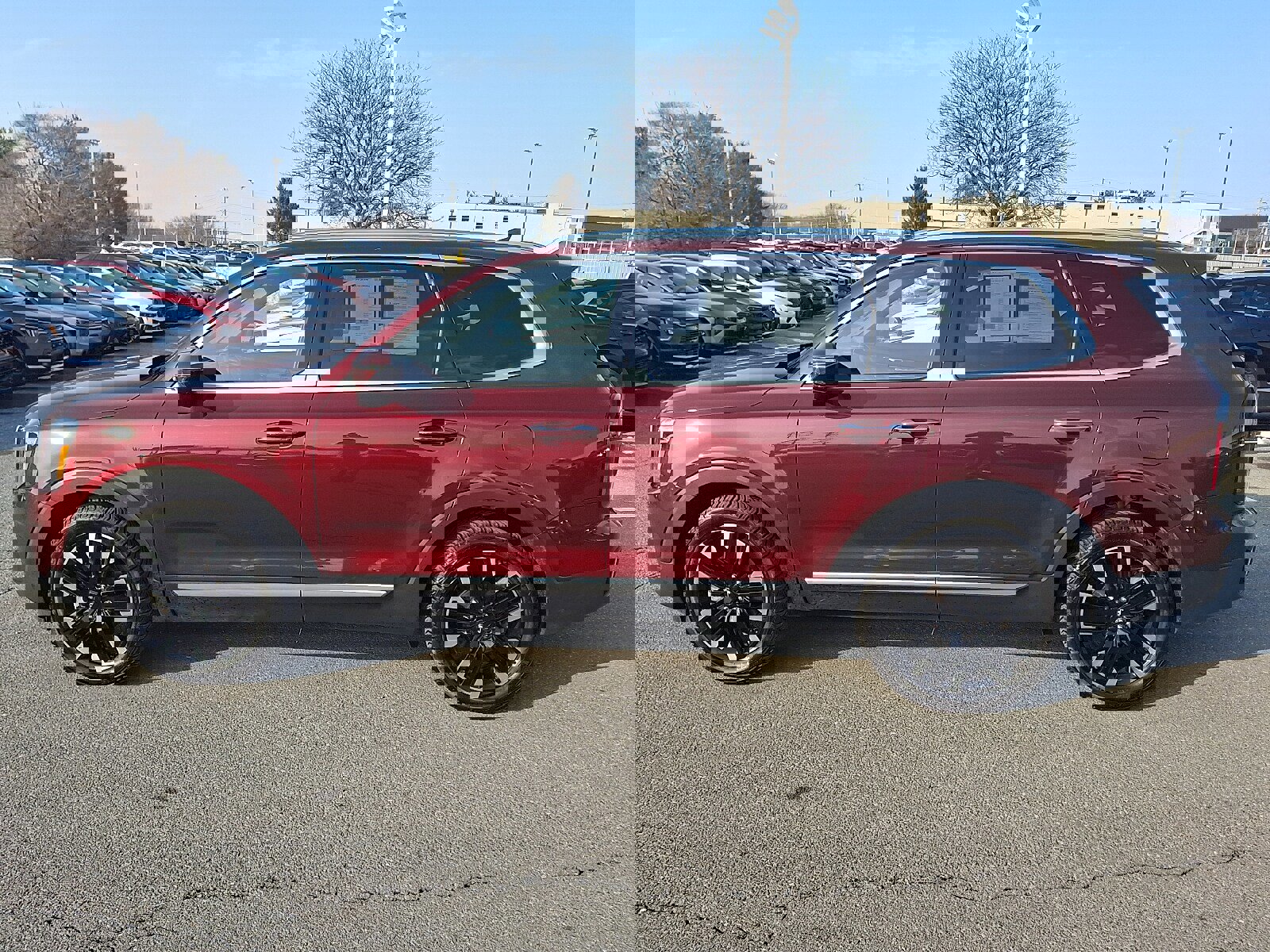 Used 2023 Kia Telluride SX image 7