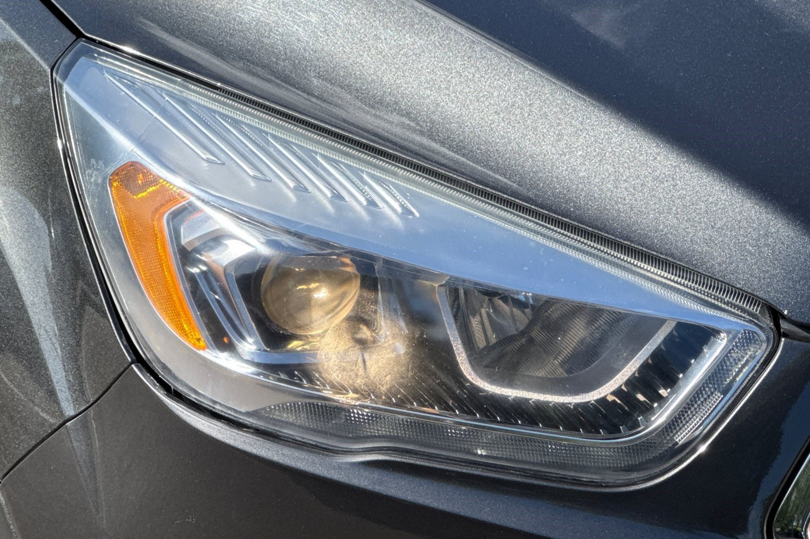Used 2019 Ford Escape SEL FWD image 12