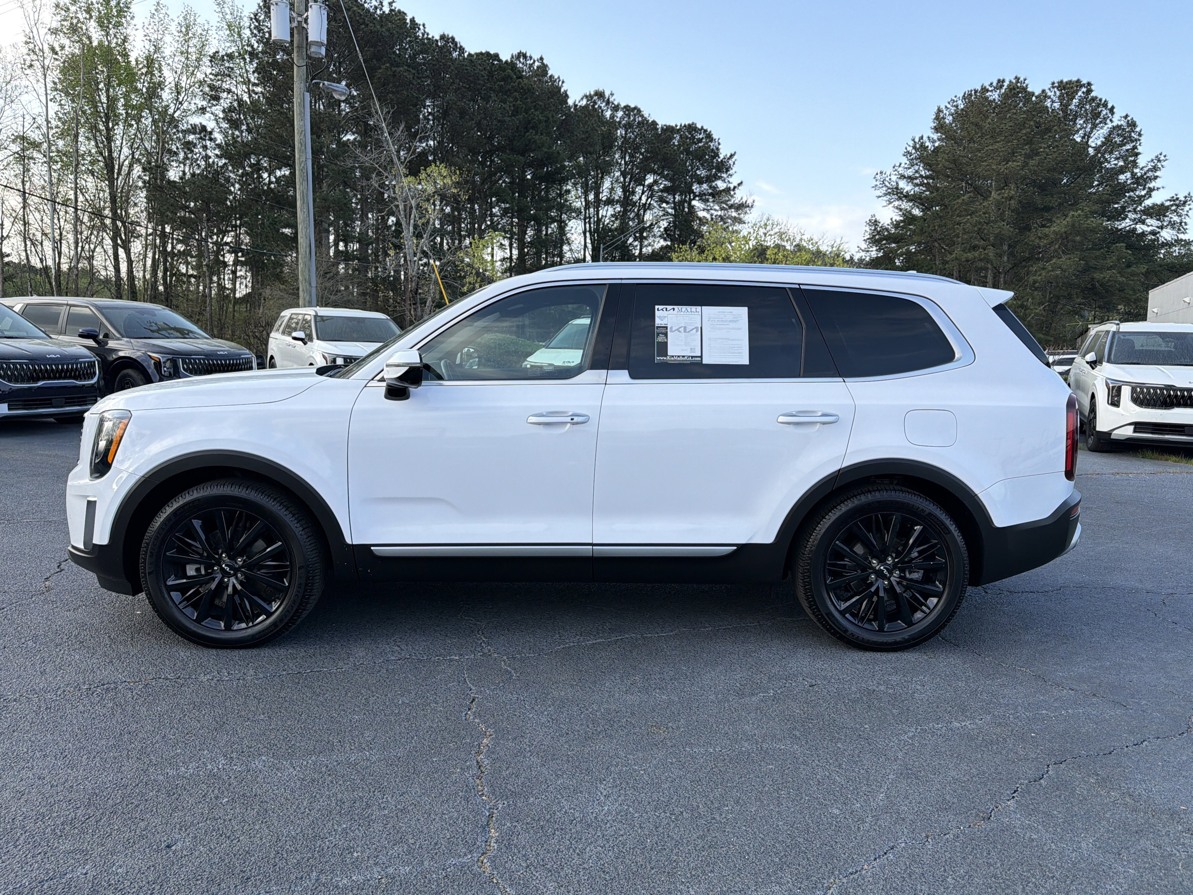 Used 2022 Kia Telluride SX w/ Towing Package image 4