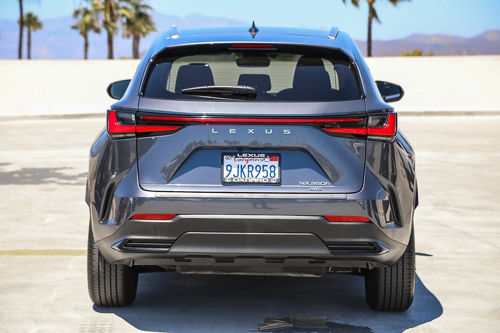 Used 2024 Lexus NX 350h AWD w/ Cold Area Package image 6