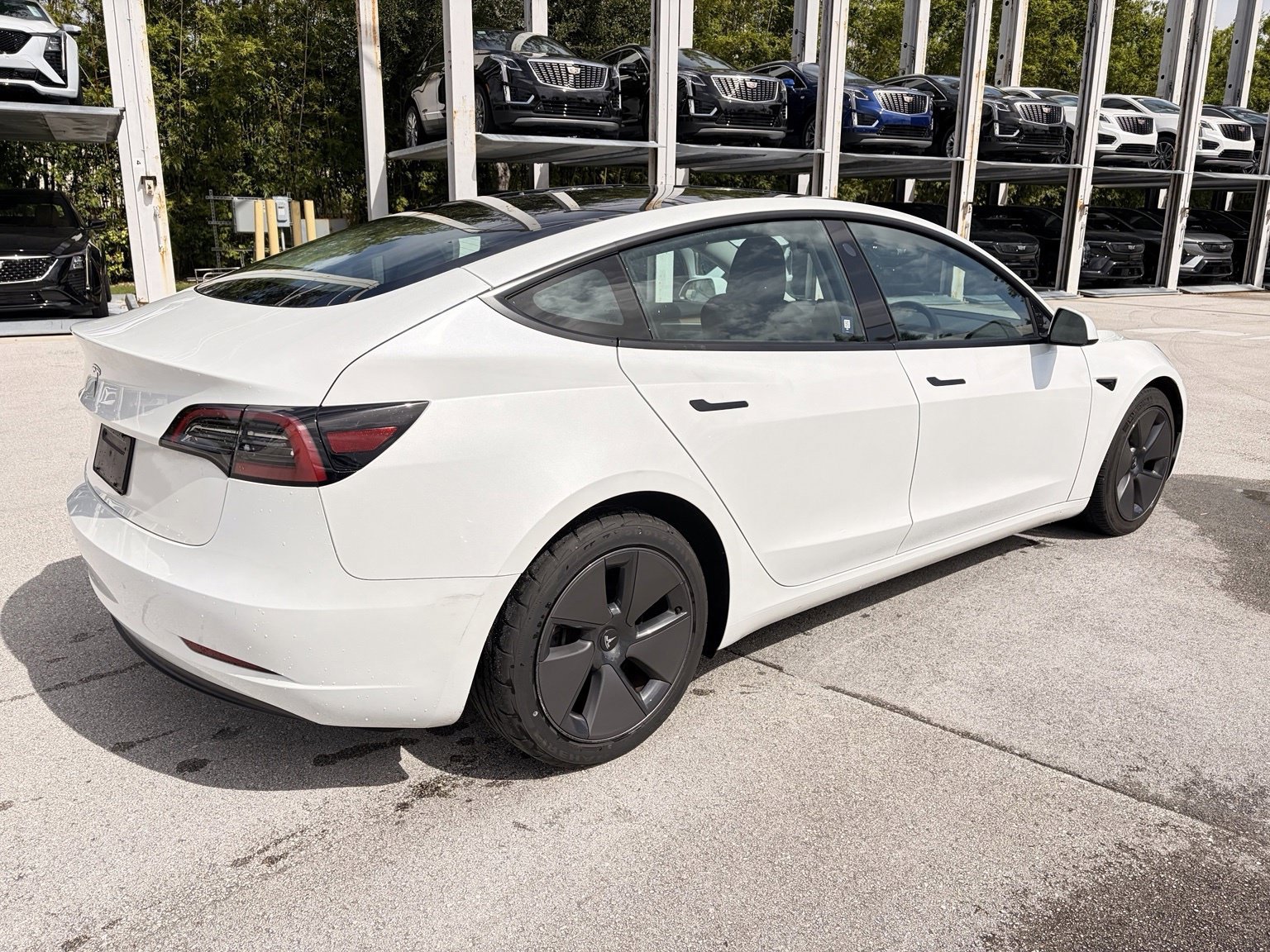 Used 2023 Tesla Model 3 Standard Range RWD image 6