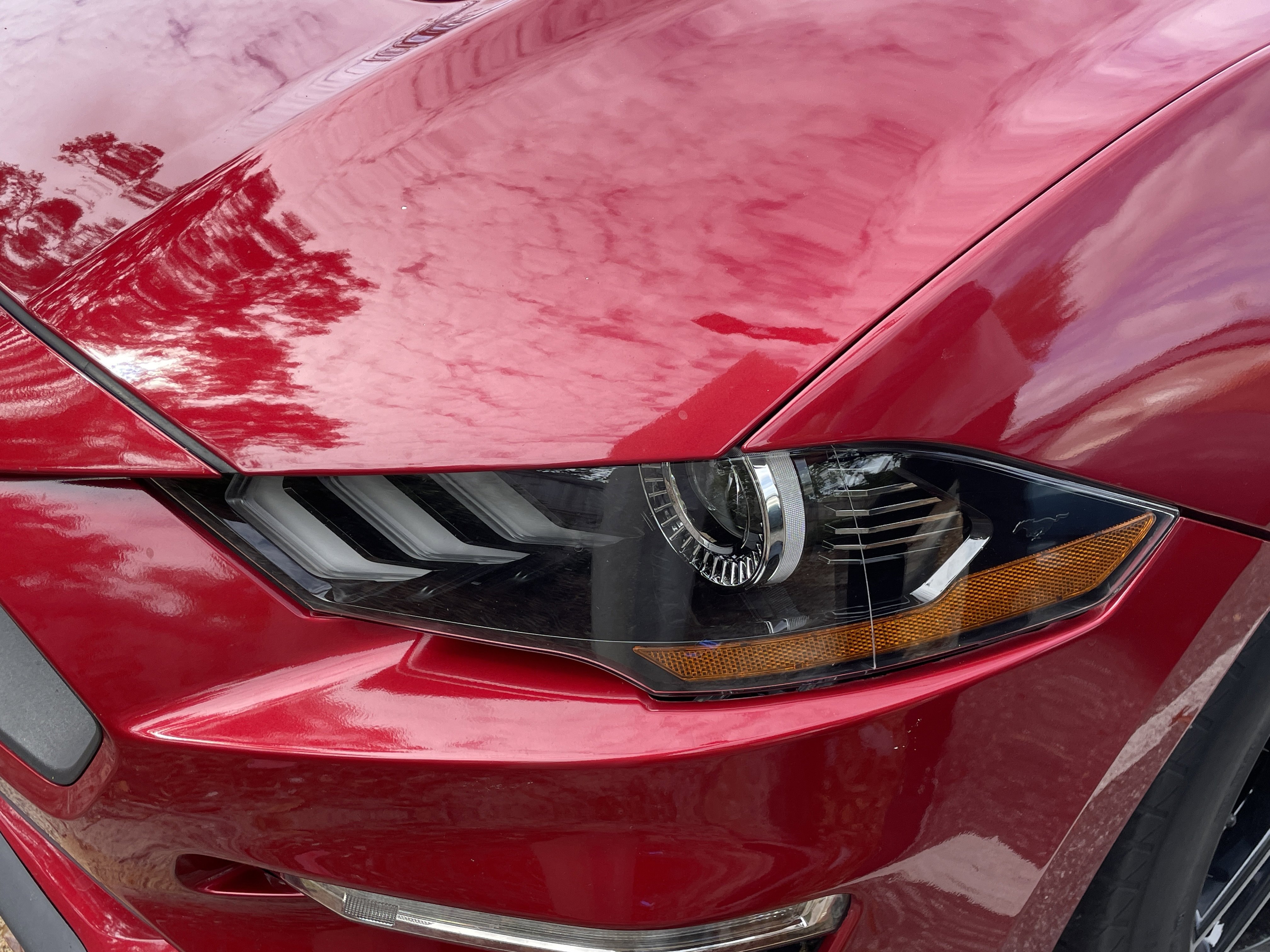 Used 2021 Ford Mustang Coupe w/ Equipment Group 101A image 8