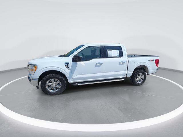Used 2023 Ford F150 XLT w/ Equipment Group 301A Mid AWD/4WD image 4
