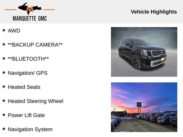 Used 2023 Kia Telluride SX image 3