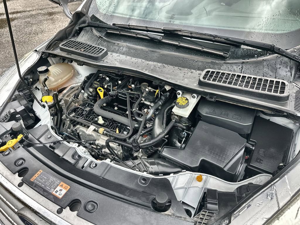 Used 2019 Ford Escape SE image 28